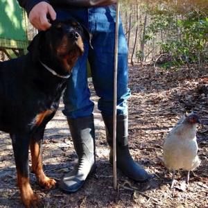 Meet your Posher, Bradley